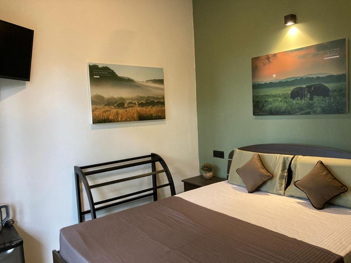 Star Gaze Lodge Procida Dış mekan fotoğraf